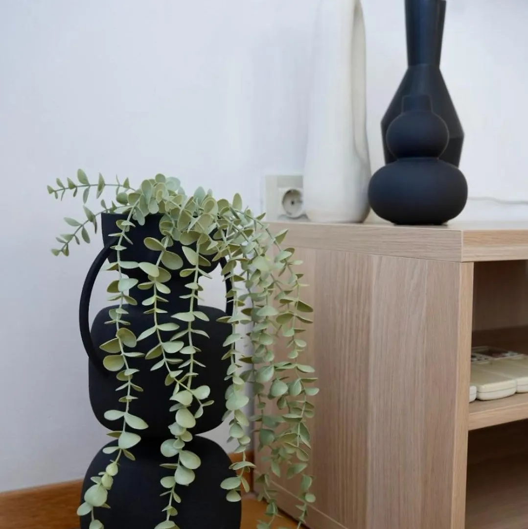 Apartman Begonja Zadar