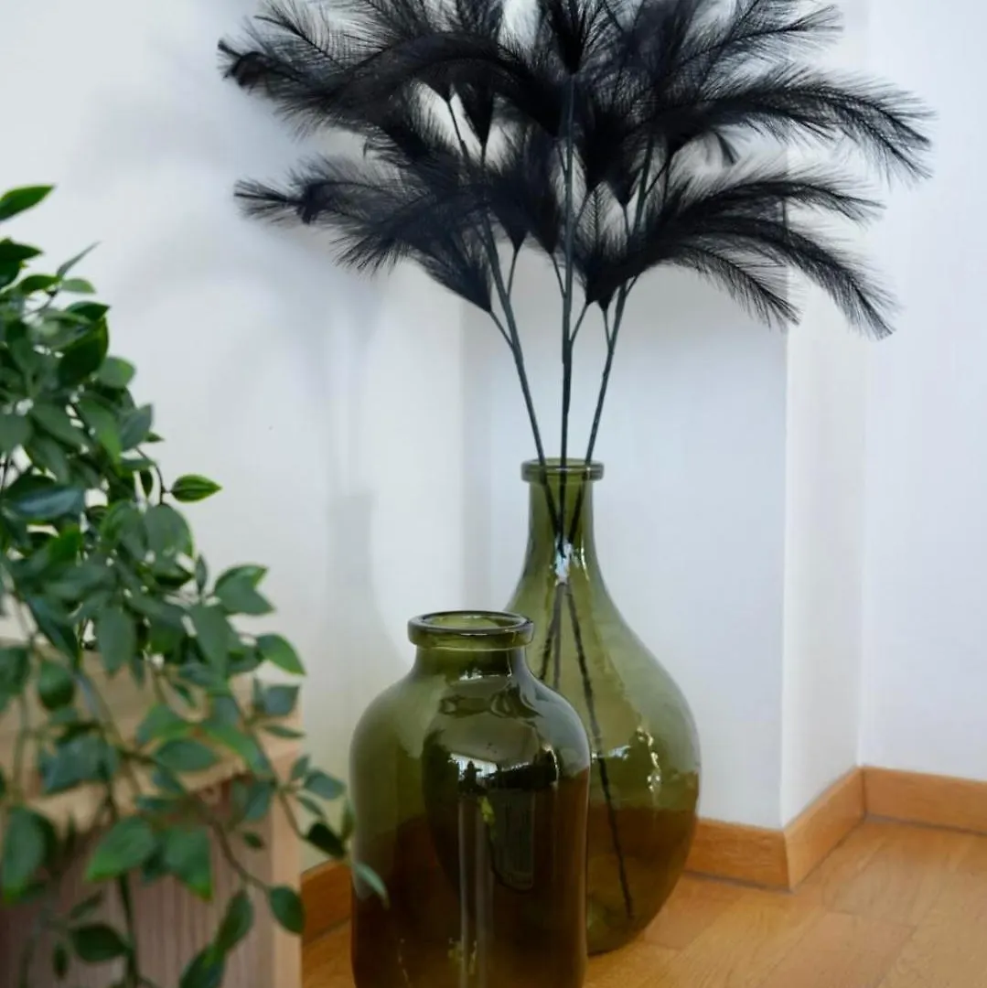 Appartement Apartman Begonja Zadar