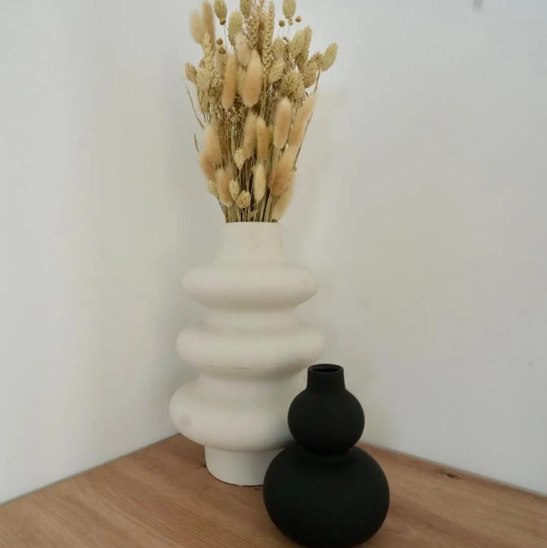Apartman Begonja Zadar 0*,